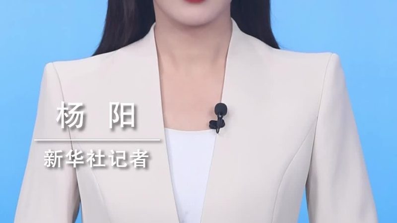 物流与供应链：本质区别与整合之道